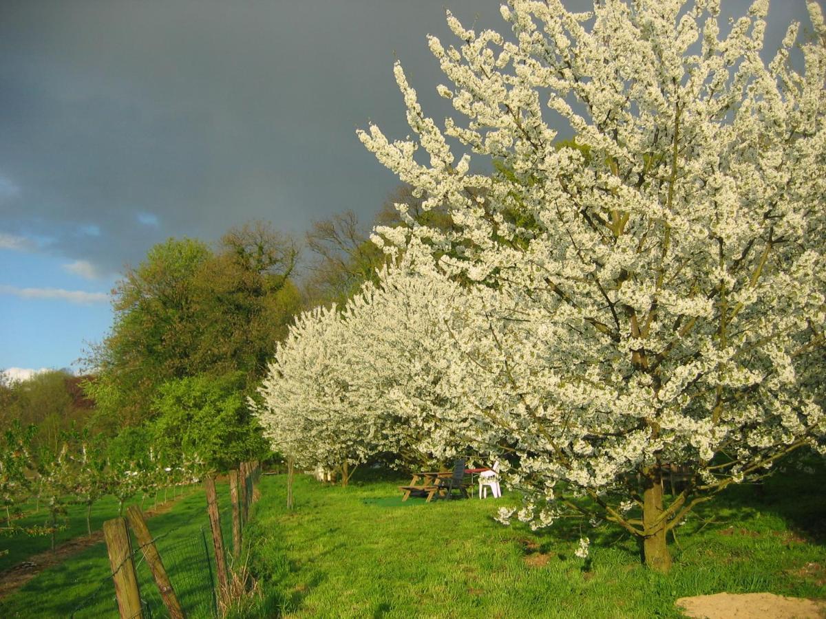 B&B Casa De Paja Sint-Truiden Dış mekan fotoğraf