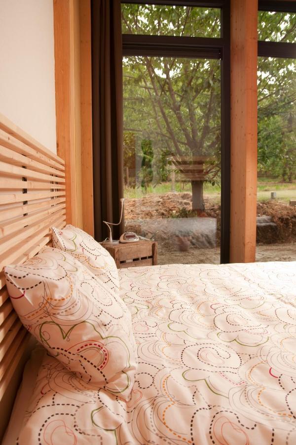 B&B Casa De Paja Sint-Truiden Dış mekan fotoğraf